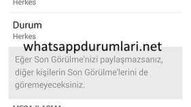 Whatsapp Son Görülme Kapatma