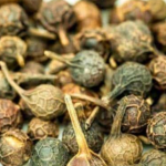 Kebabe (kebabiye) bitkisi nedir