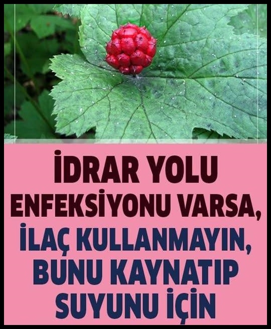 İdrar Yolu Enfeksiyonu Olanlar İçin Kaynak: İdrar Yolu Enfeksiyonu Olanlar İçin