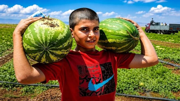 Karpuz Çekirdeği Yiyen Erkeklerde Olanlar - Fotoğraf 2